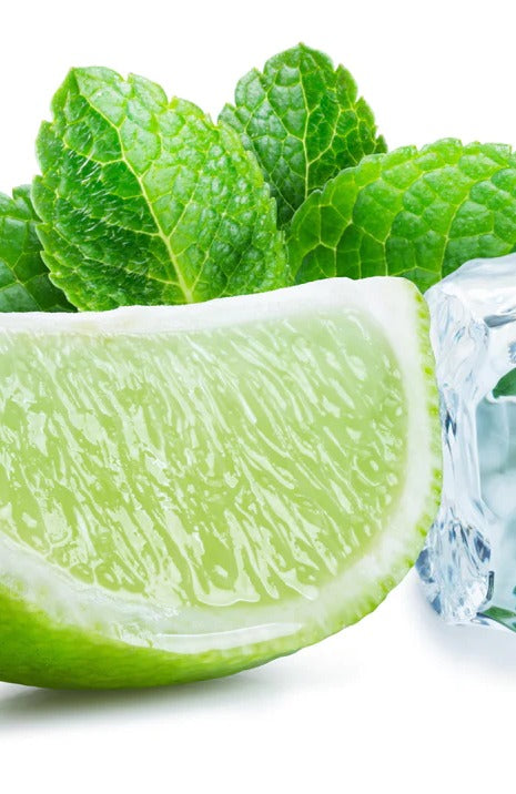 Duschrückwand - Limettenscheibe mit Eis und Minze