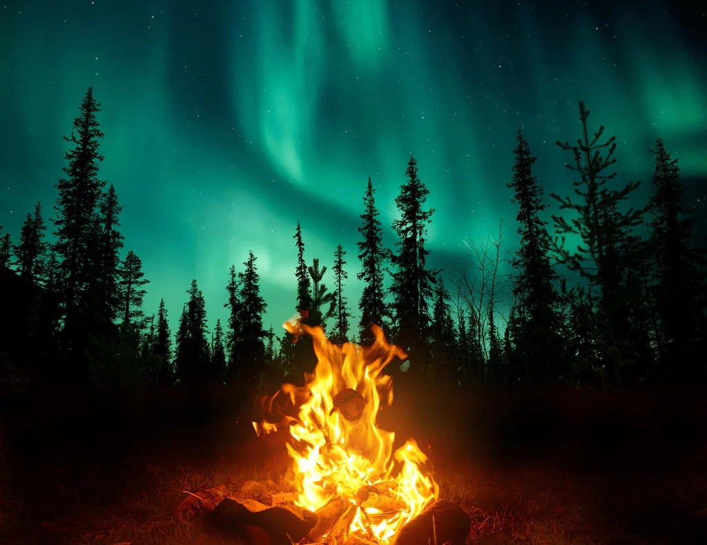 Spritzschutz - Lagerfeuer mit Nordlichtern in den Wäldern Schwedens