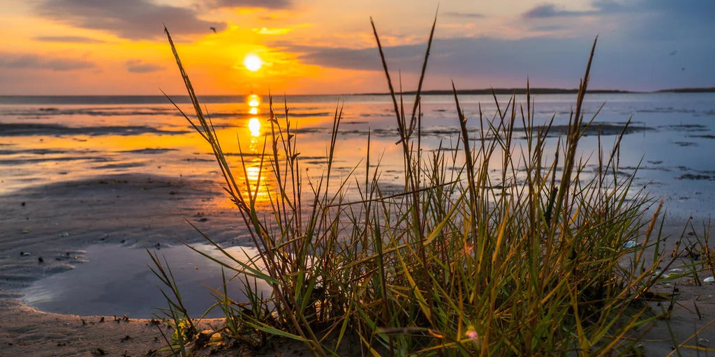 Spritzschutz - Sonnenuntergang im Wattenmeer an der Nordsee