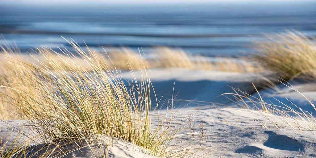 Spritzschutz - Friedlicher Strand - Nordsee