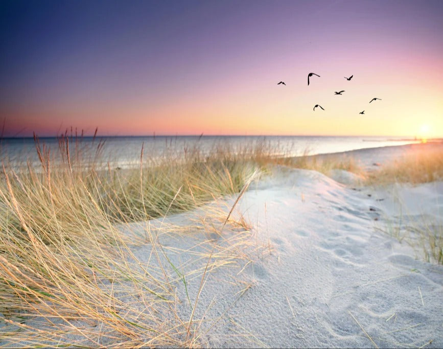 Spritzschutz - Goldenes Sonnenlicht an der Ostsee