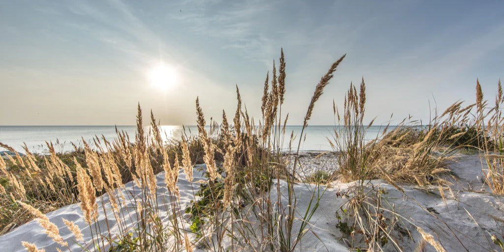 Spritzschutz - Friedlicher Ausblick an der Ostseeküste