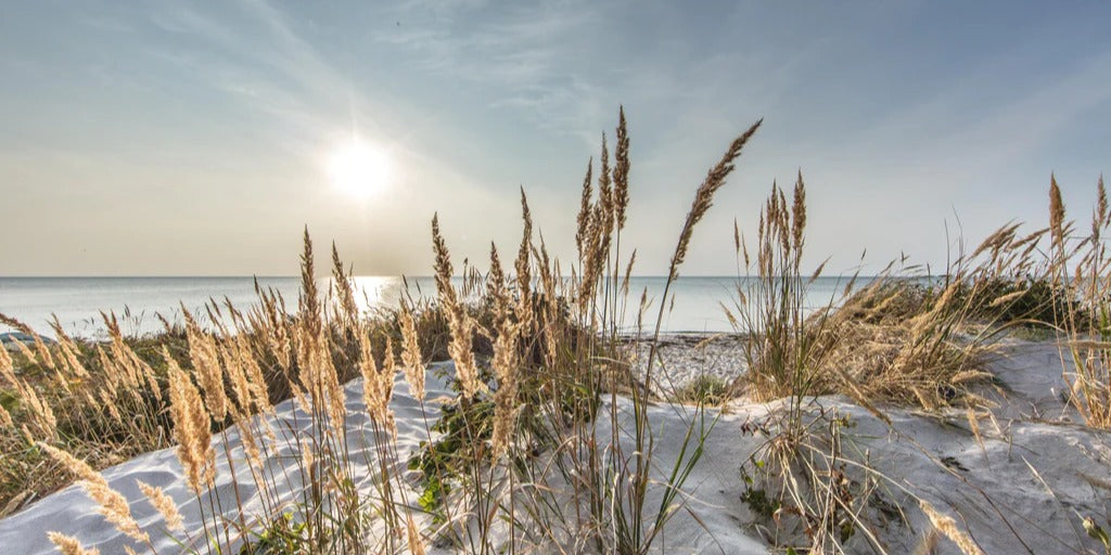 Spritzschutz - Friedlicher Ausblick an der Ostseeküste