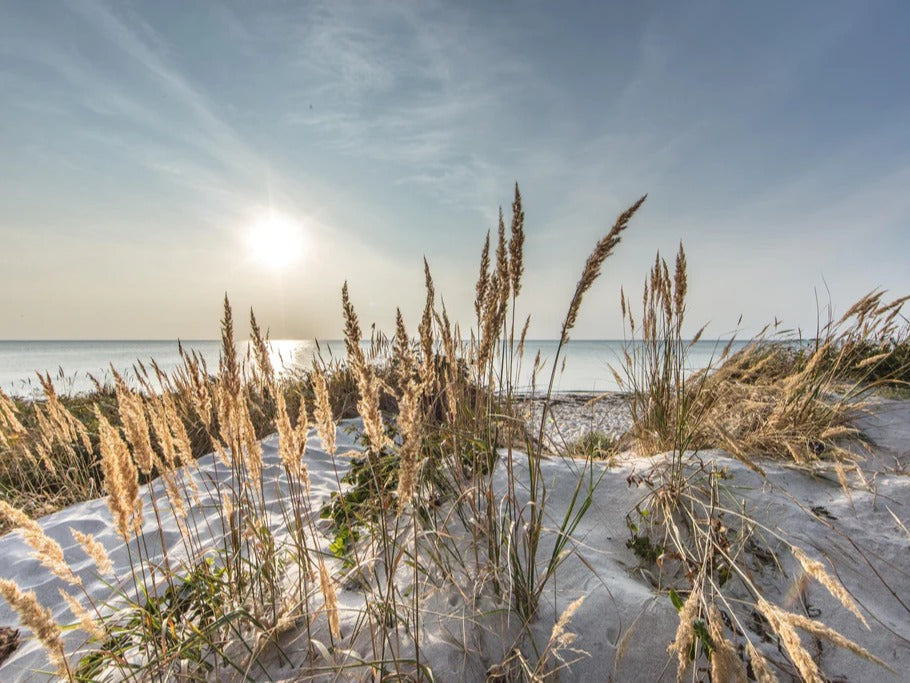 Spritzschutz - Friedlicher Ausblick an der Ostseeküste