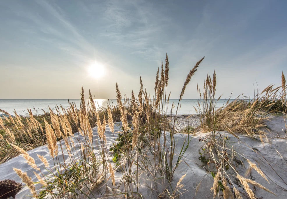 Spritzschutz - Friedlicher Ausblick an der Ostseeküste