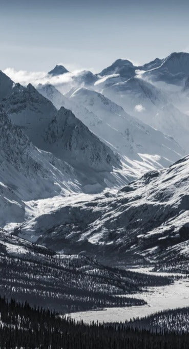 Duschrückwand - Majestätische Alaskanische Schneeberge