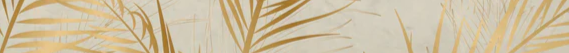 2-51296768688395-46299014005003.png