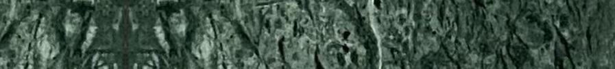 2-51297378763019-40428056740107.png