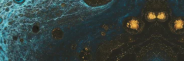 2-52116919877899-44370562613515.png