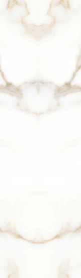 2-52409456689419-44324137500939.png