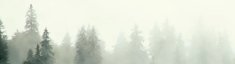 2-52802561868043-50812216344843.png