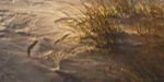 2-52808928035083-48382292295947.png