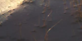 2-52809010053387-48382292295947.png