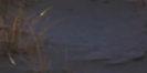 2-52818124636427-48382292295947.png