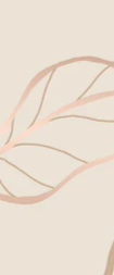 2-52818954191115-44354172027147.png