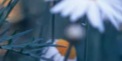 2-52834806104331-44331412357387.png