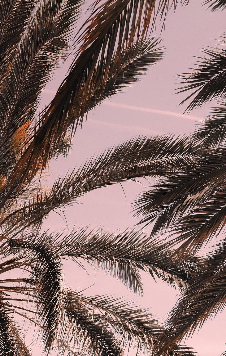 2-52836473733387-46326802776331.png