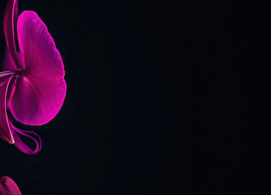 2-52837101043979-60777071018251.png