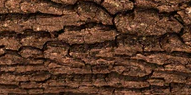 2-52839339426059-46218580295947.png