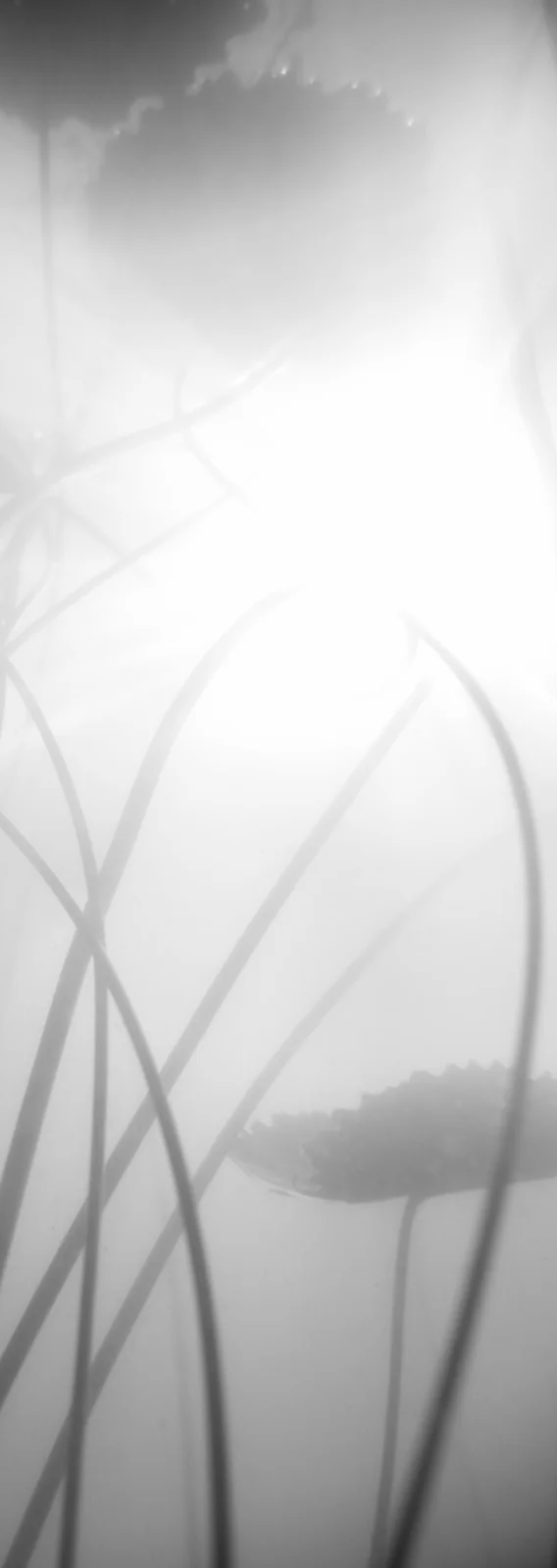 2-52843319591179-45940096303371.png