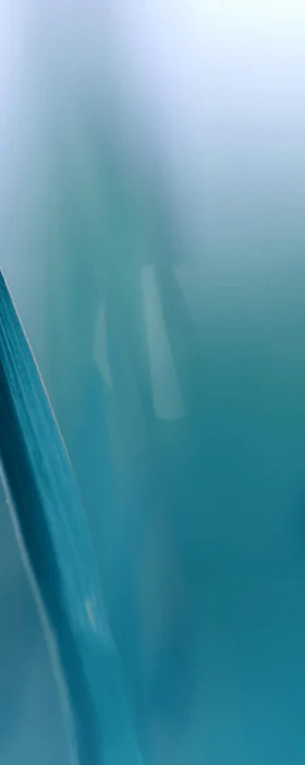2-52843426054411-44345121145099.png