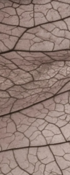 2-52855269425419-45938873008395.png