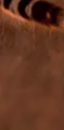 2-52863365153035-46374724501771.png