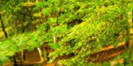 2-52878910456075-46341689737483.png