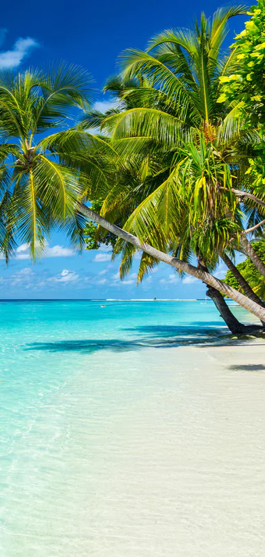 2-52881325719819-46337120141579.png