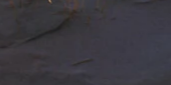 2-52886035267851-48382292295947.png
