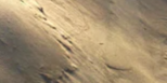 2-52889777832203-48382292295947.png