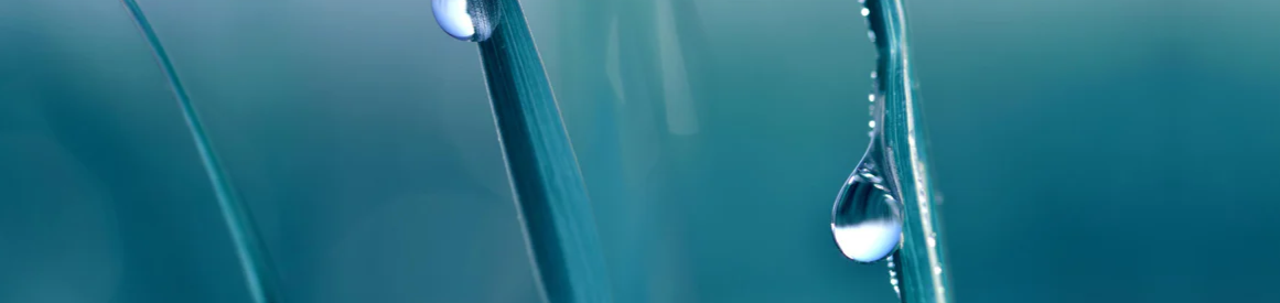 2-52894760698123-44327907098891.png