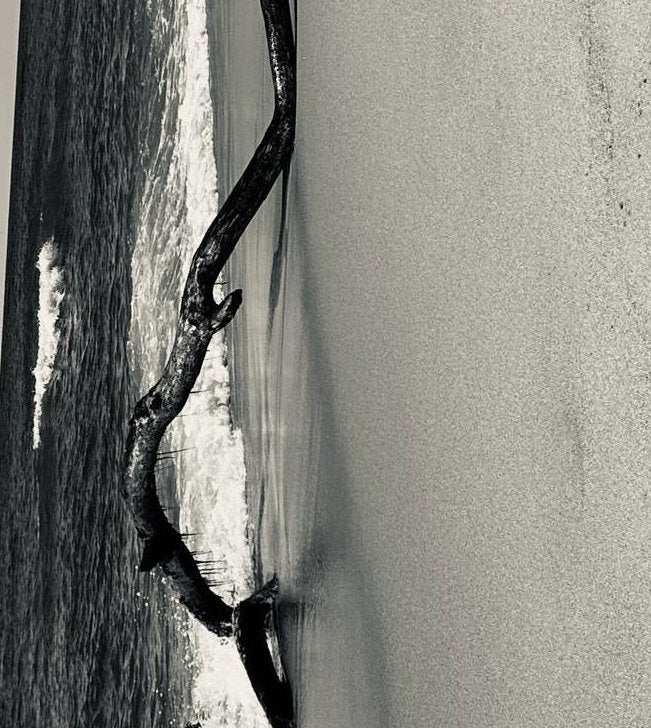 2-52904712634635-40428076204299.jpeg