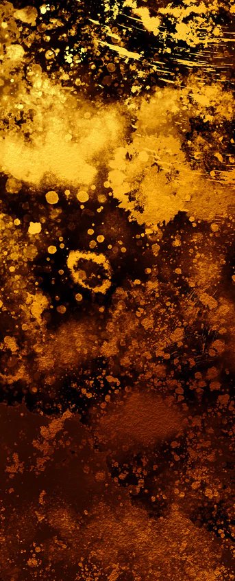 2-52945796104459-46308785881355.jpeg