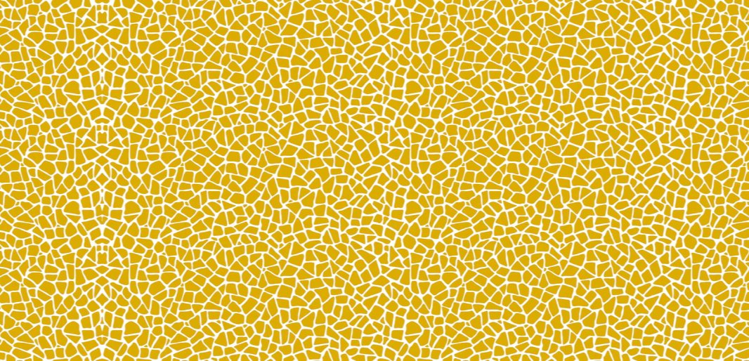 2-53004079399179-50941333537035.jpeg