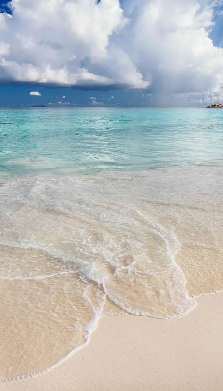 2-53043135119627-66101032550667.jpeg