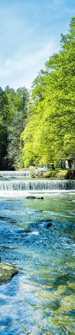 2-53114273530123-64975500017931.jpeg