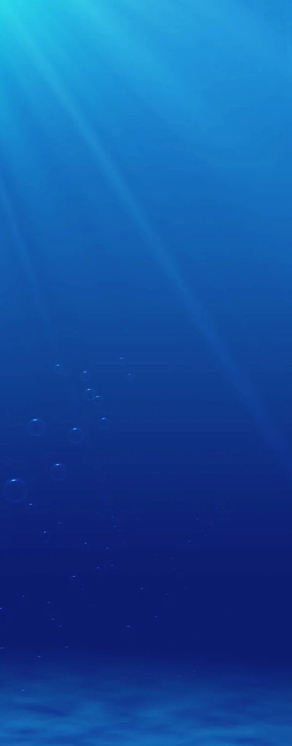 2-53125671420171-66100699660555.jpeg