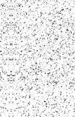 2-53127728005387-66709337735435.jpeg