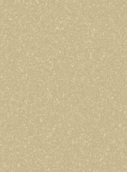2-53173360165131-64556560318731.jpeg