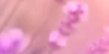 2-53223939539211-44327203569931.jpeg