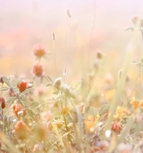 2-53229480608011-44323914252555.jpeg