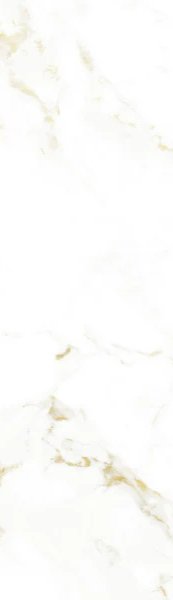 2-53262287503627-66102101704971.jpeg