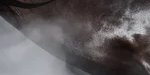 2-53297564090635-66404622336267.jpeg