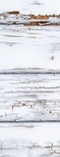 2-53304352243979-44327675003147.jpeg