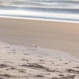 2-53313822294283-54641842192651.jpeg