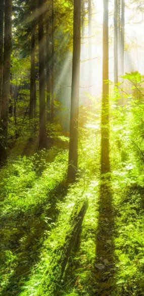 2-53315047162123-66702448722187.jpeg