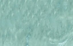 2-53317595824395-46220286722315.jpeg