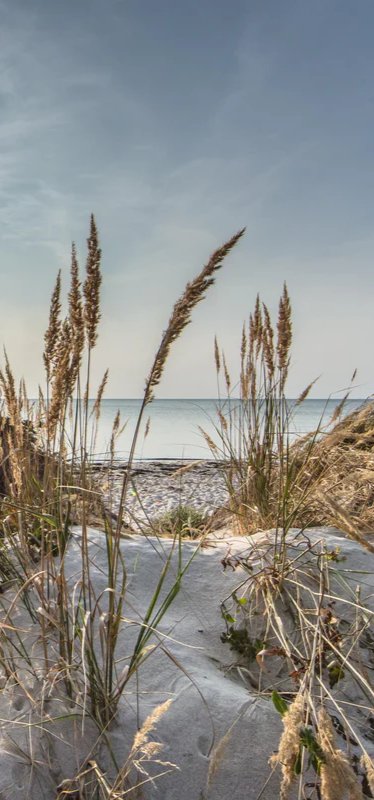 2-53326933295371-44343349117195.jpeg