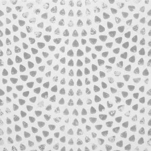 2-53329065345291-44331369660683.jpeg